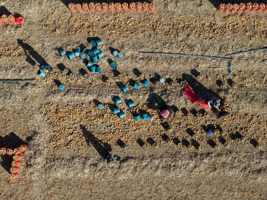 Konya Ovası’nda tablo gibi hasat 7